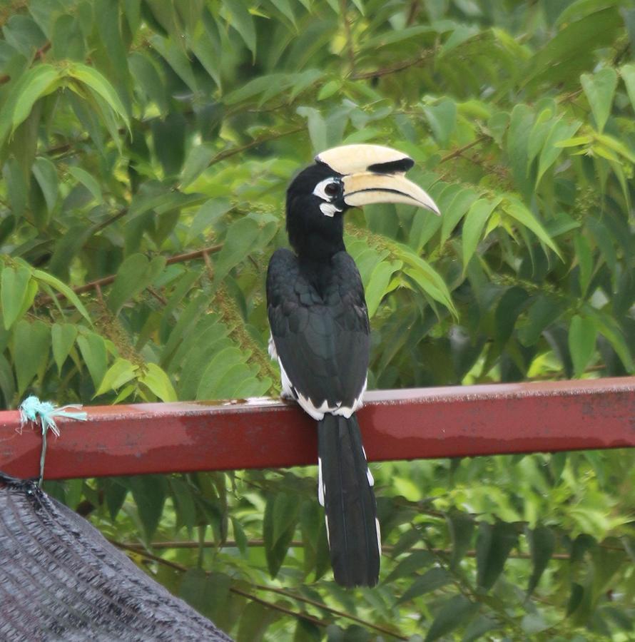 Veranda Nautica Kuah Bagian luar foto